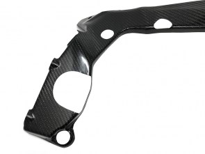 carbonio_prot_telaio_bmw_s1000rr_19_02
