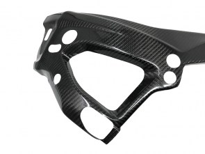carbonio_prot_telaio_bmw_s1000rr_19_04